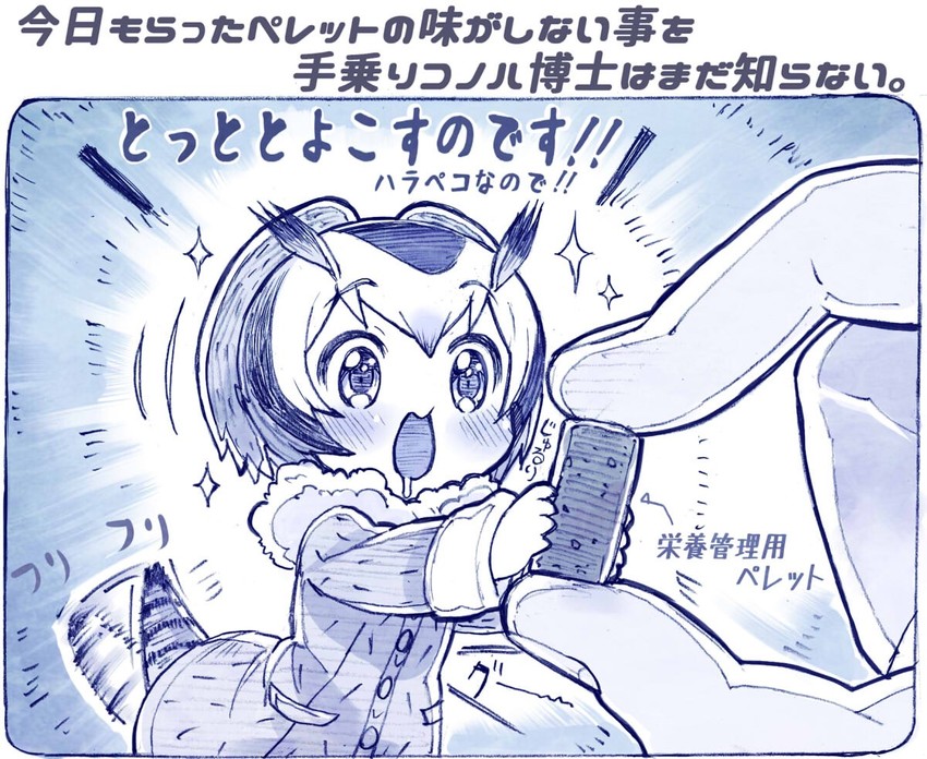 northern white-faced owl (kemono friends) drawn by sakino_shingetsu