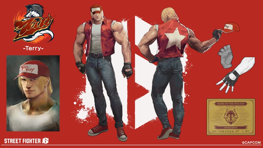 terry bogard (street fighter and 2 more)