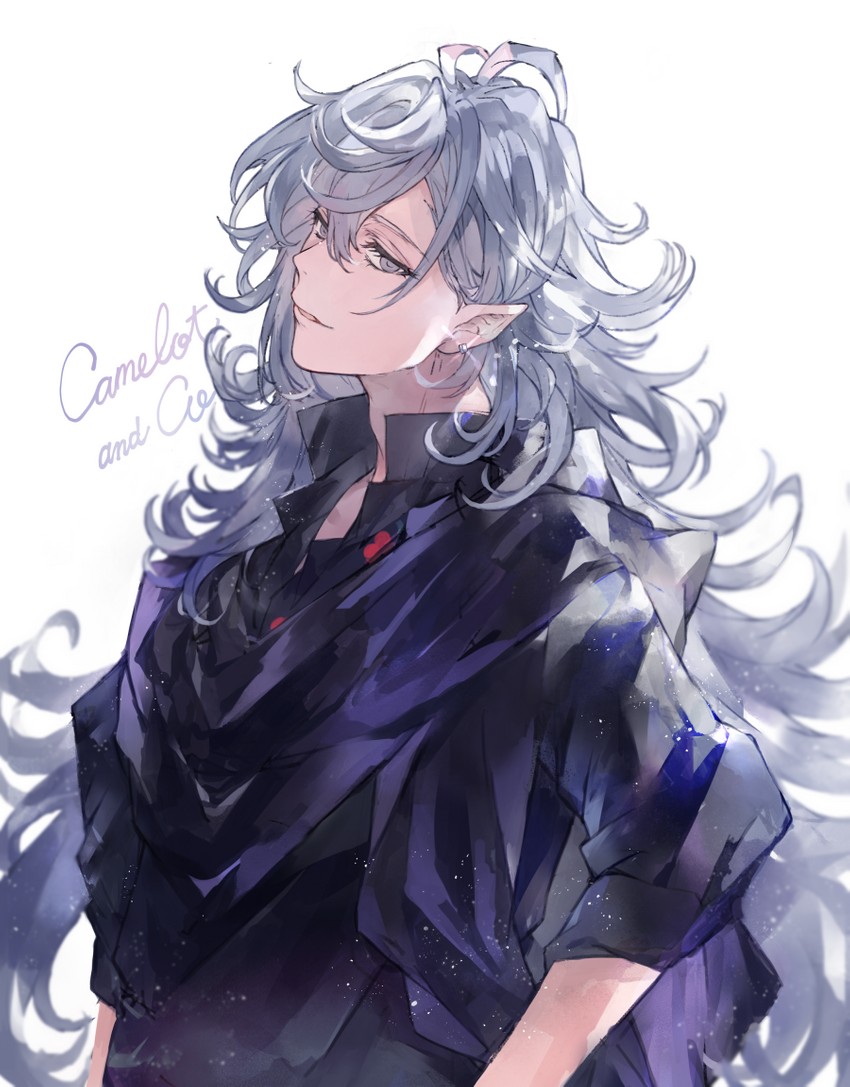 merlin (fate and 1 more) drawn by waltz_(tram)