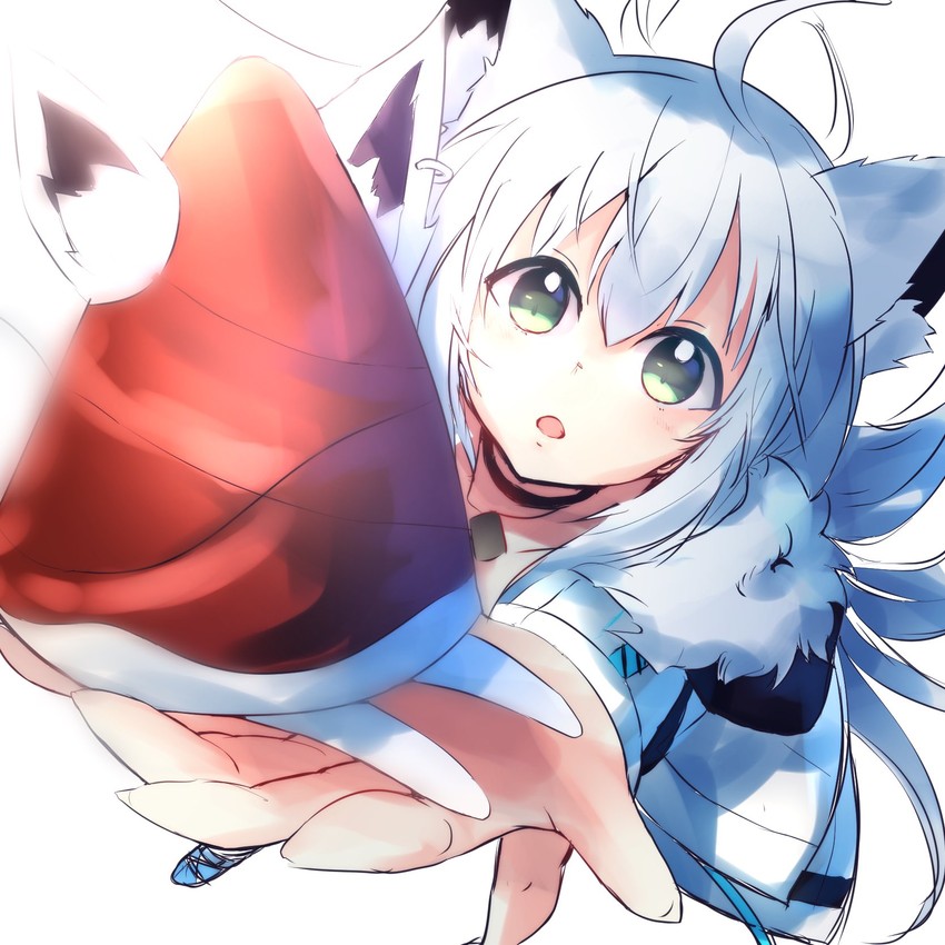 shirakami fubuki and oruyanke (hololive) drawn by sake-meron