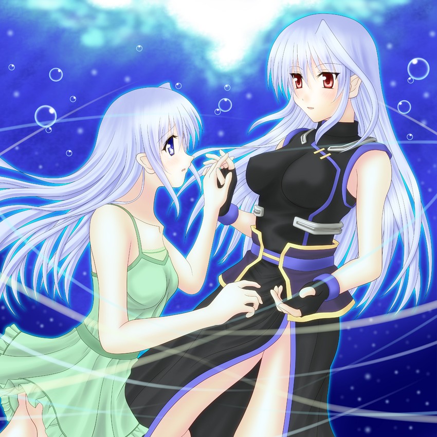 reinforce zwei and reinforce (lyrical nanoha and 3 more) drawn by sooichi_(diabolicemission)