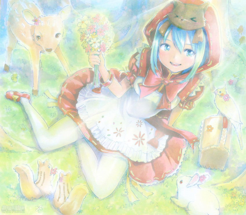 hatsune miku and little red riding hood (vocaloid and 3 more) drawn by mayo_riyo