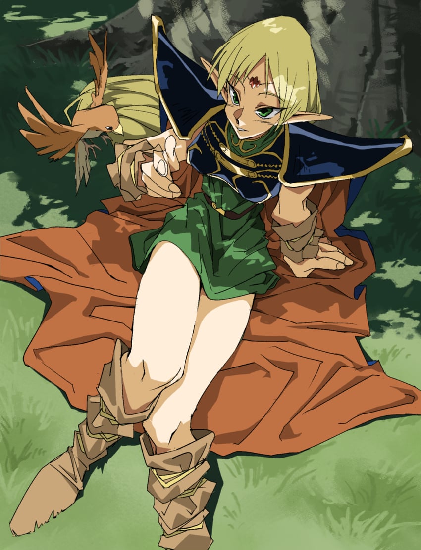 deedlit (record of lodoss war) drawn by shino_(2919)