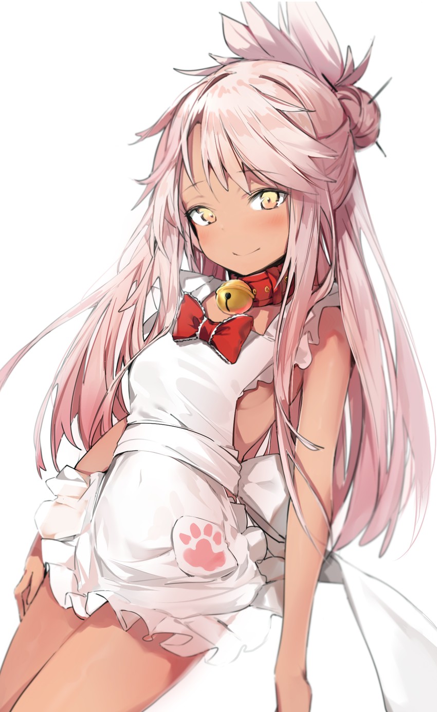 tamamo, chloe von einzbern, and tamamo cat (fate and 1 more) drawn by silver_(chenwen)
