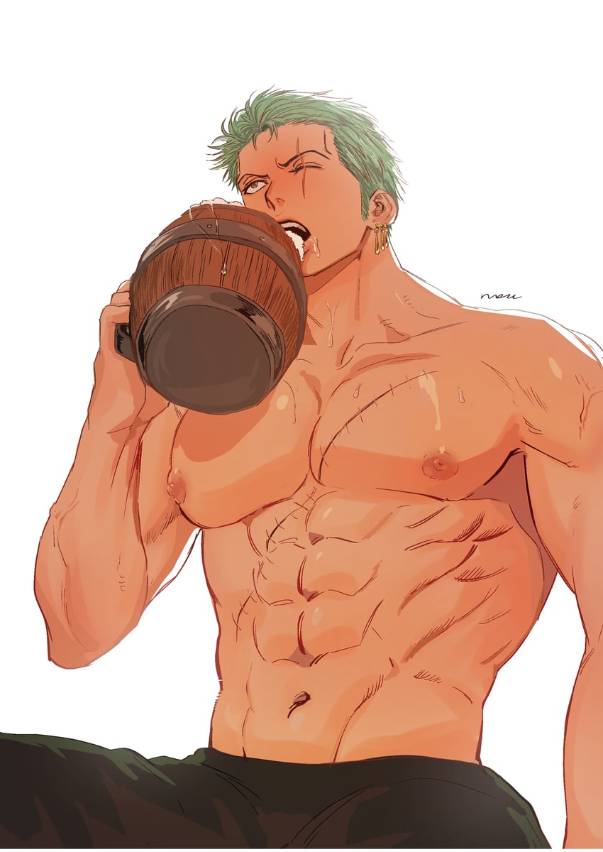 roronoa zoro (one piece) drawn by nok_(nok_1)
