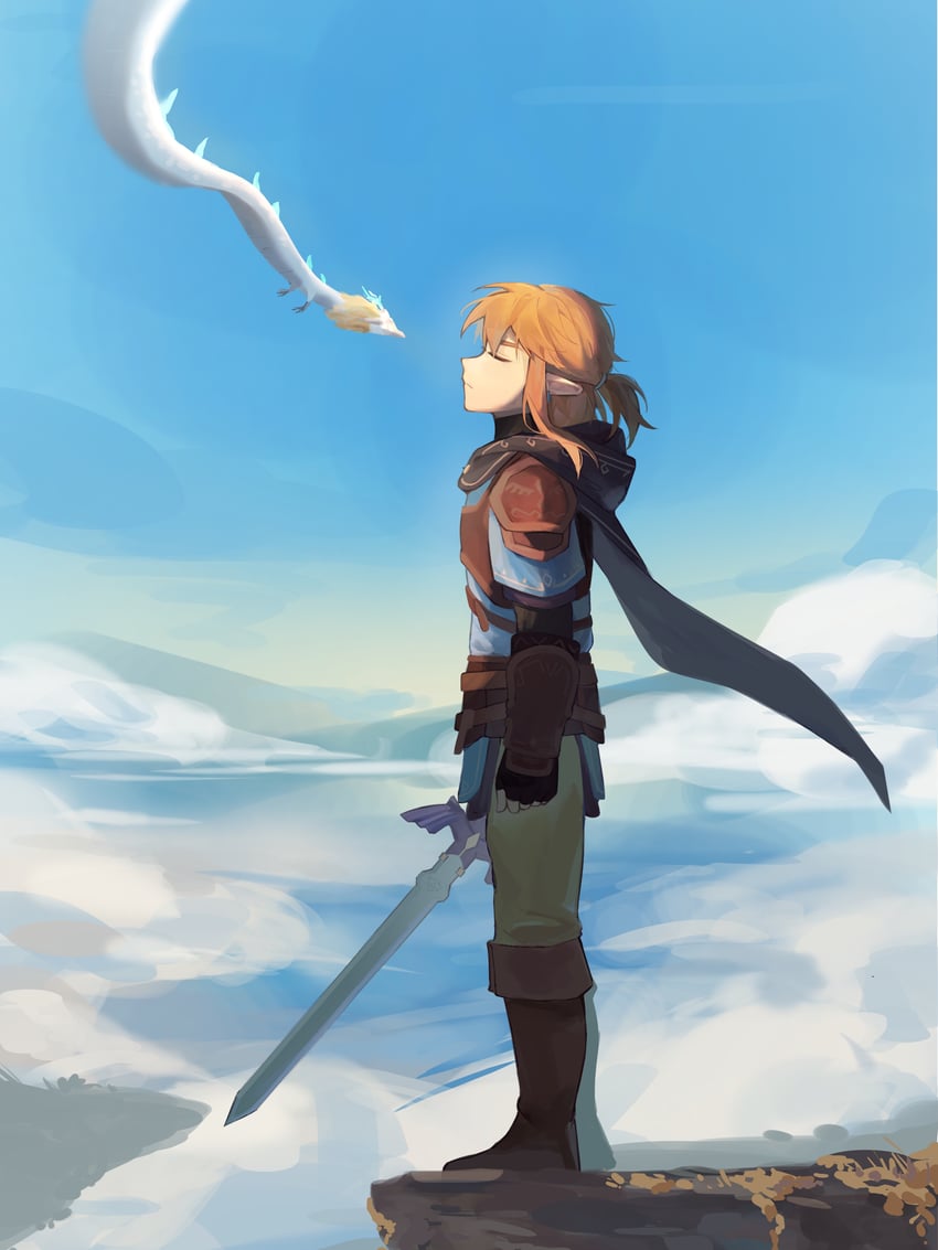 link and light dragon (the legend of zelda and 1 more) drawn by yumiyumo3o