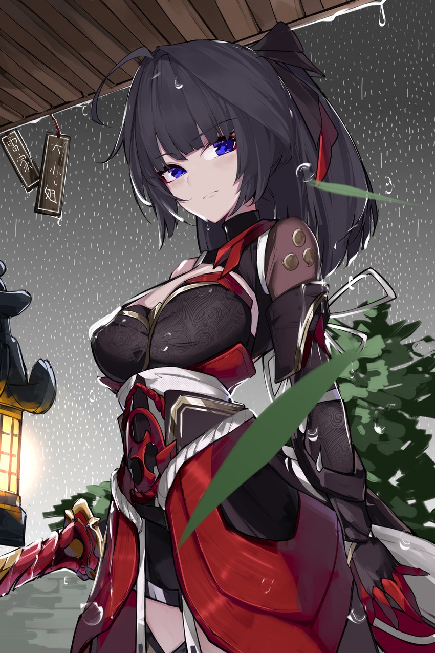 raiden mei (honkai and 1 more) drawn by evzeva