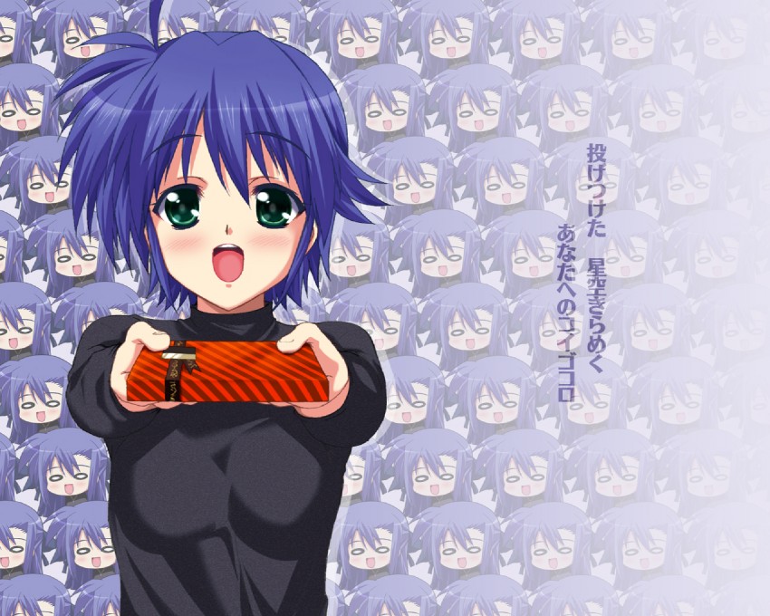 subaru nakajima and ginga nakajima (lyrical nanoha and 1 more)