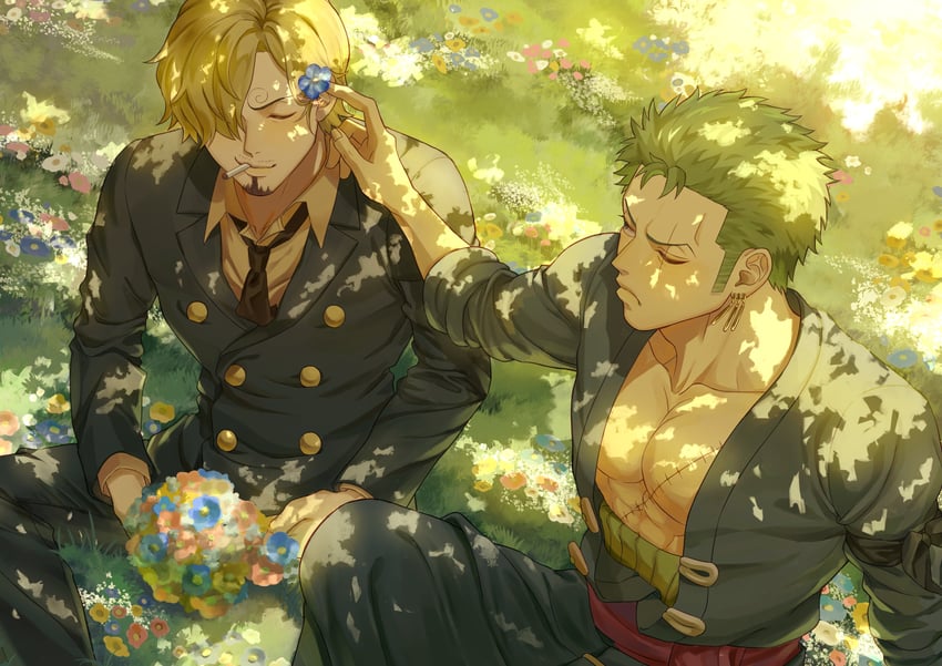 roronoa zoro and sanji (one piece) drawn by poipoisky72