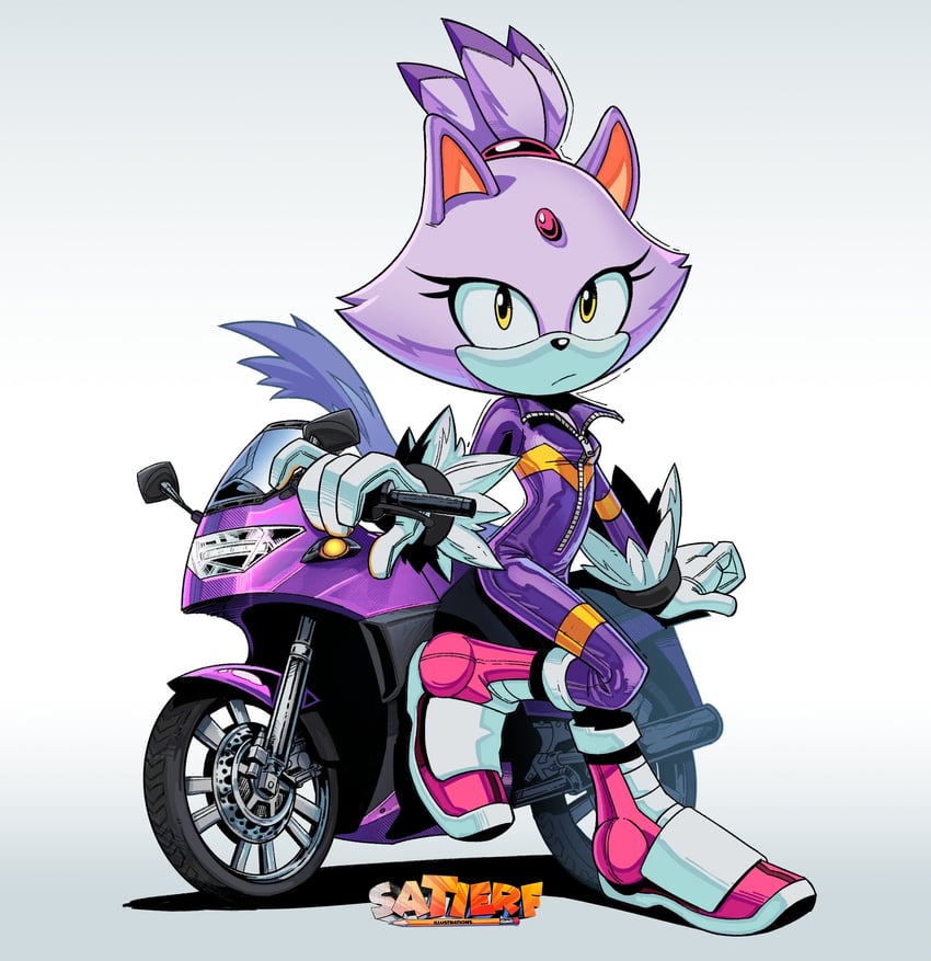 blaze the cat (sonic and 2 more) drawn by satierf