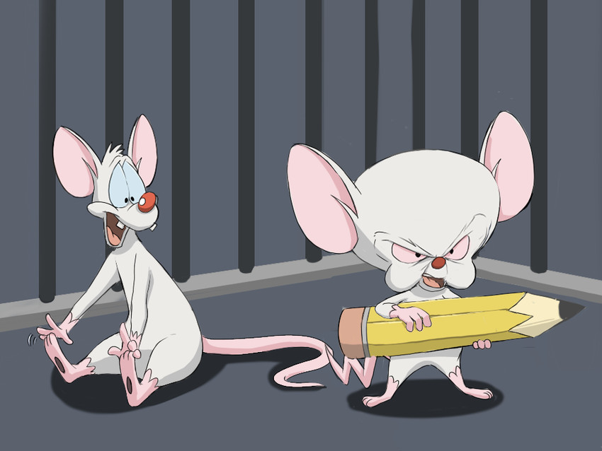 pinky and the brain (animaniacs and 1 more) drawn by natsuki_nori