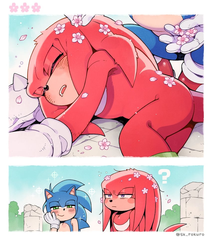 sonic the hedgehog and knuckles the echidna (sonic) drawn by sk_rokuro