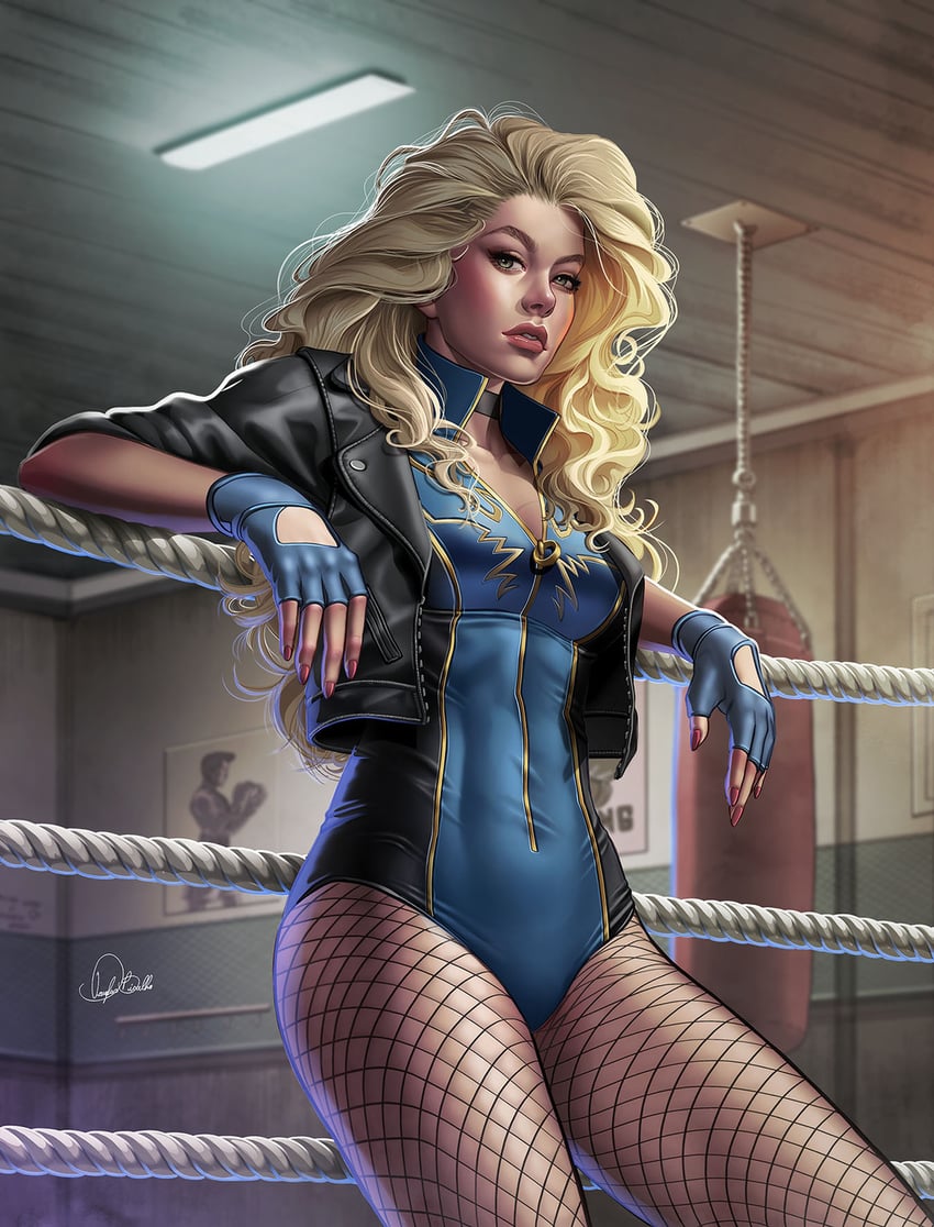 black canary (dc comics) drawn by douglas_bicalho