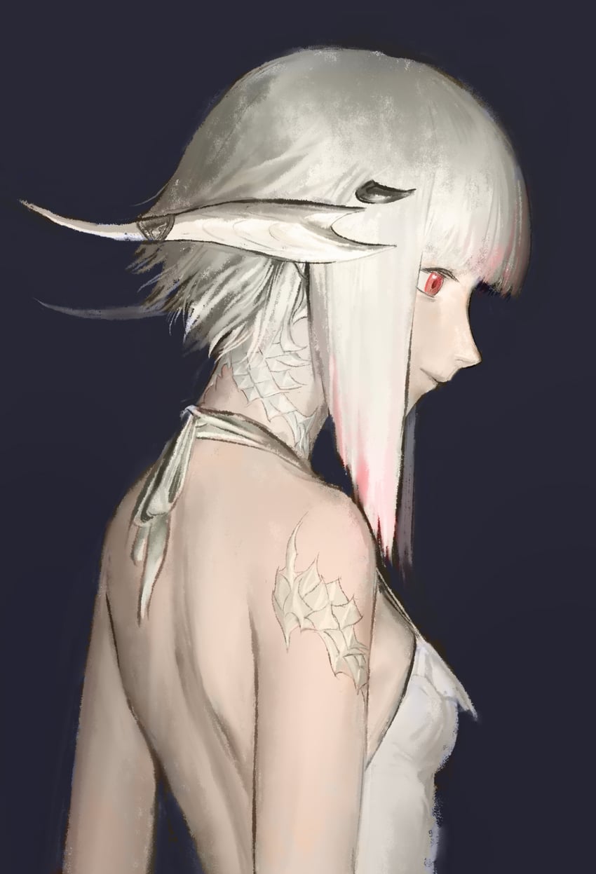 warrior of light (final fantasy and 1 more) drawn by guyiqwq