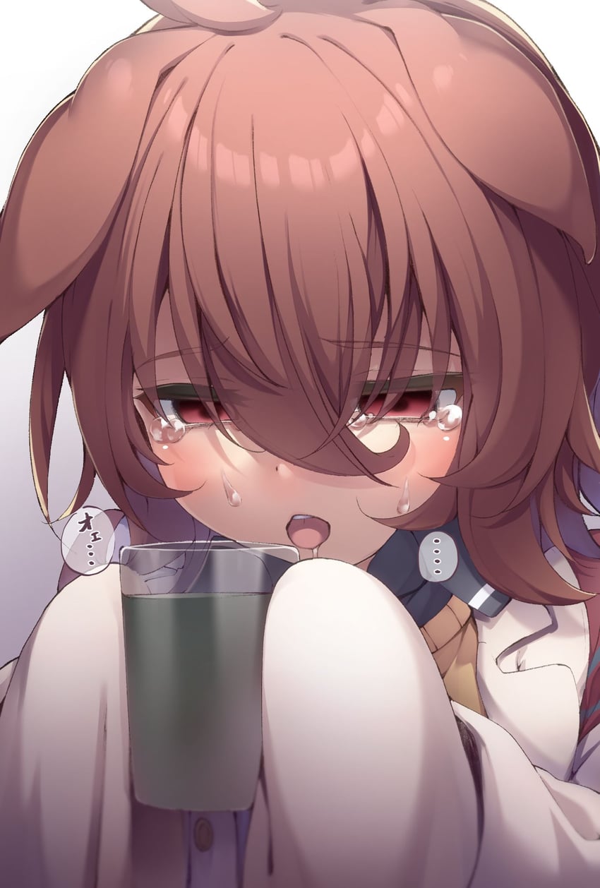 agnes tachyon (umamusume) drawn by hibiki_(zerocodo)
