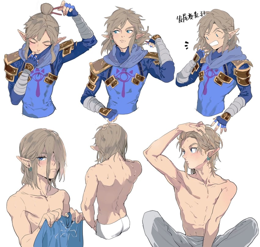 link (the legend of zelda and 1 more) drawn by gyou_chin