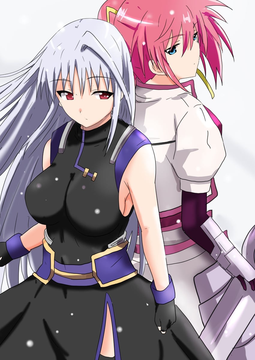 signum and reinforce (lyrical nanoha and 2 more) drawn by ekaki_kukuma