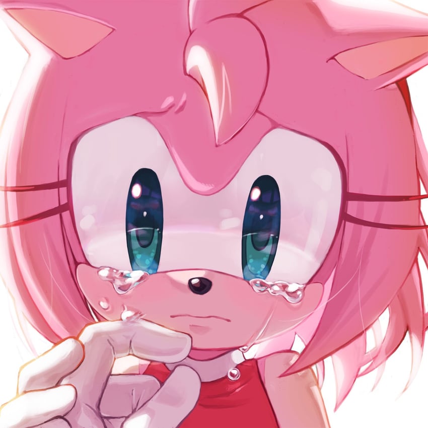 sonic the hedgehog and amy rose (sonic) drawn by konjiki_ringo