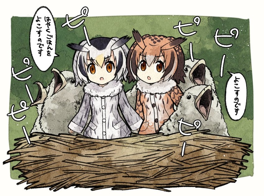northern white-faced owl and eurasian eagle owl (kemono friends) drawn by meis_(terameisu)