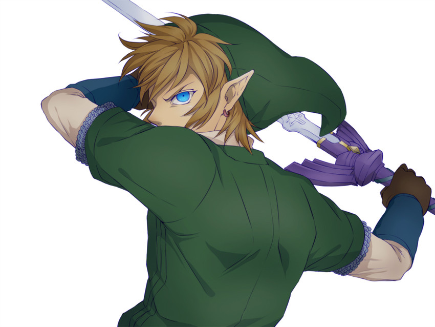 link (the legend of zelda and 1 more) drawn by saiba_(henrietta)