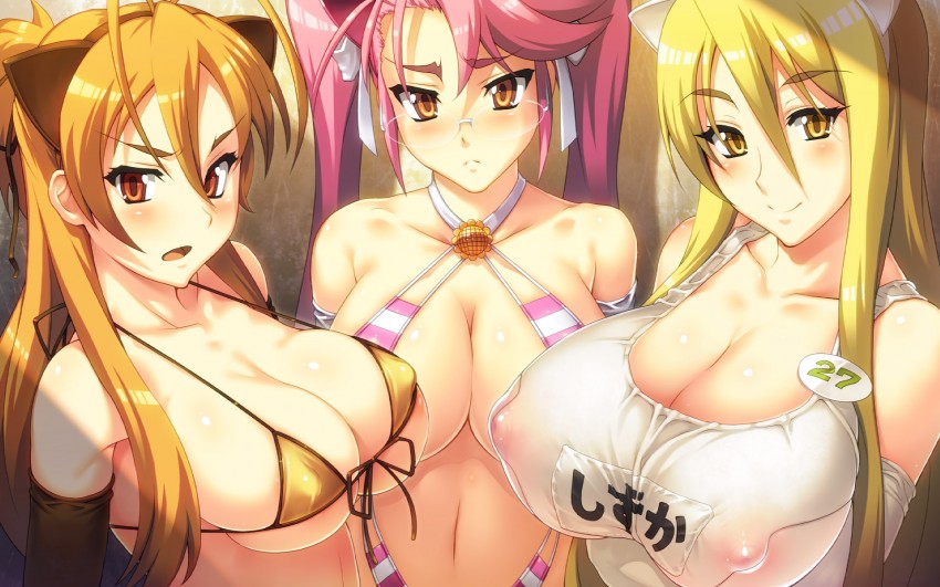 Sexy anime girls with big boobs