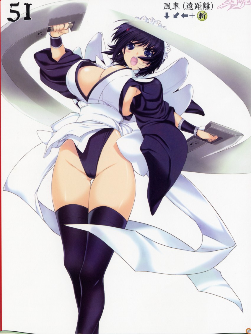 iroha (queen's blade and 2 more) drawn by iizuki_tasuku
