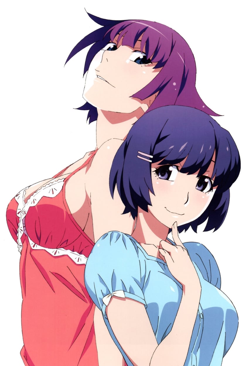 senjougahara hitagi and hanekawa tsubasa (monogatari and 1 more) drawn by watanabe_akio