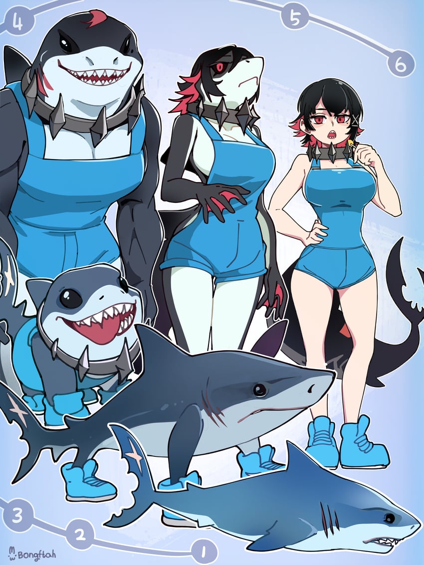 ellen joe, jeff the land shark, tralalero tralala, and king shark (zenless zone zero and 4 more) drawn by bongfill