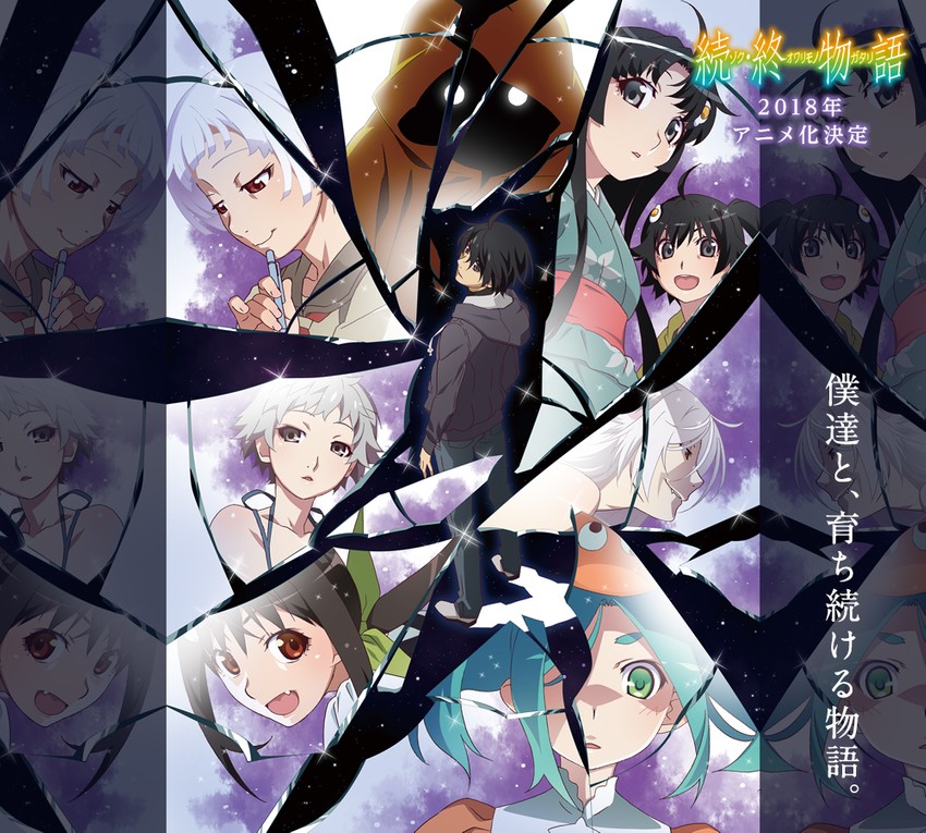 hanekawa tsubasa, sengoku nadeko, hachikuji mayoi, araragi koyomi, araragi karen, and 6 more (monogatari and 1 more)