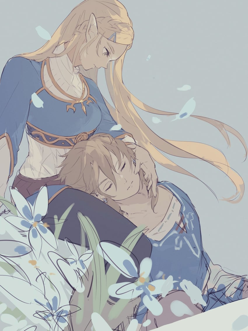link and princess zelda (the legend of zelda and 1 more) drawn by ten_1397xx