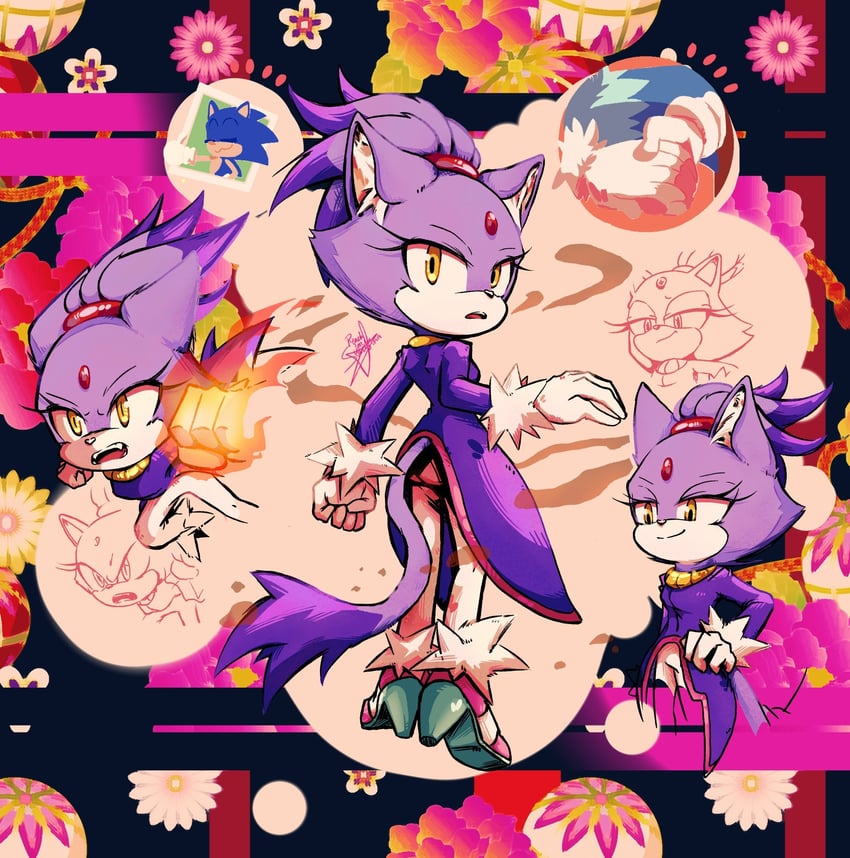 sonic the hedgehog and blaze the cat (sonic) drawn by rfts10919