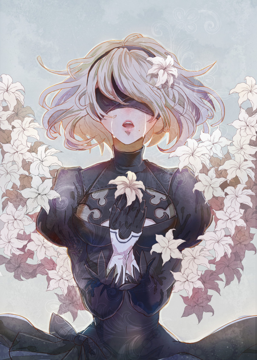 2b (nier and 1 more) drawn by sasa_(0xxlinxx0)
