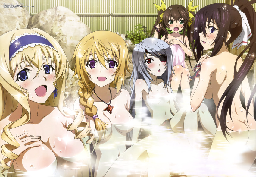 charlotte dunois, cecilia alcott, laura bodewig, shinonono houki, and huang lingyin (megami magazine and 1 more) drawn by ishiyama_hiroshi