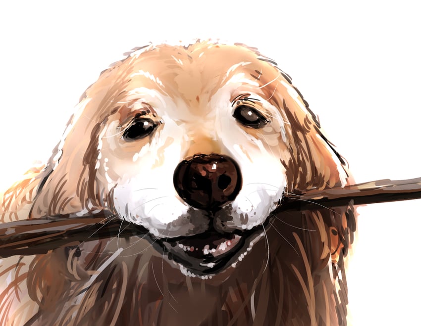 original drawn by bernin