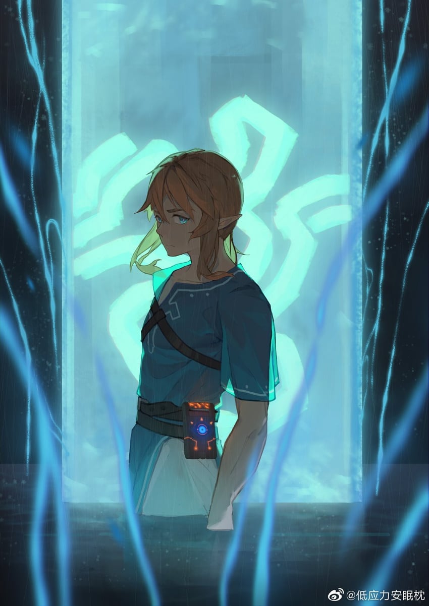 link (the legend of zelda and 1 more) drawn by di_yingli_bu_anmian_zhen