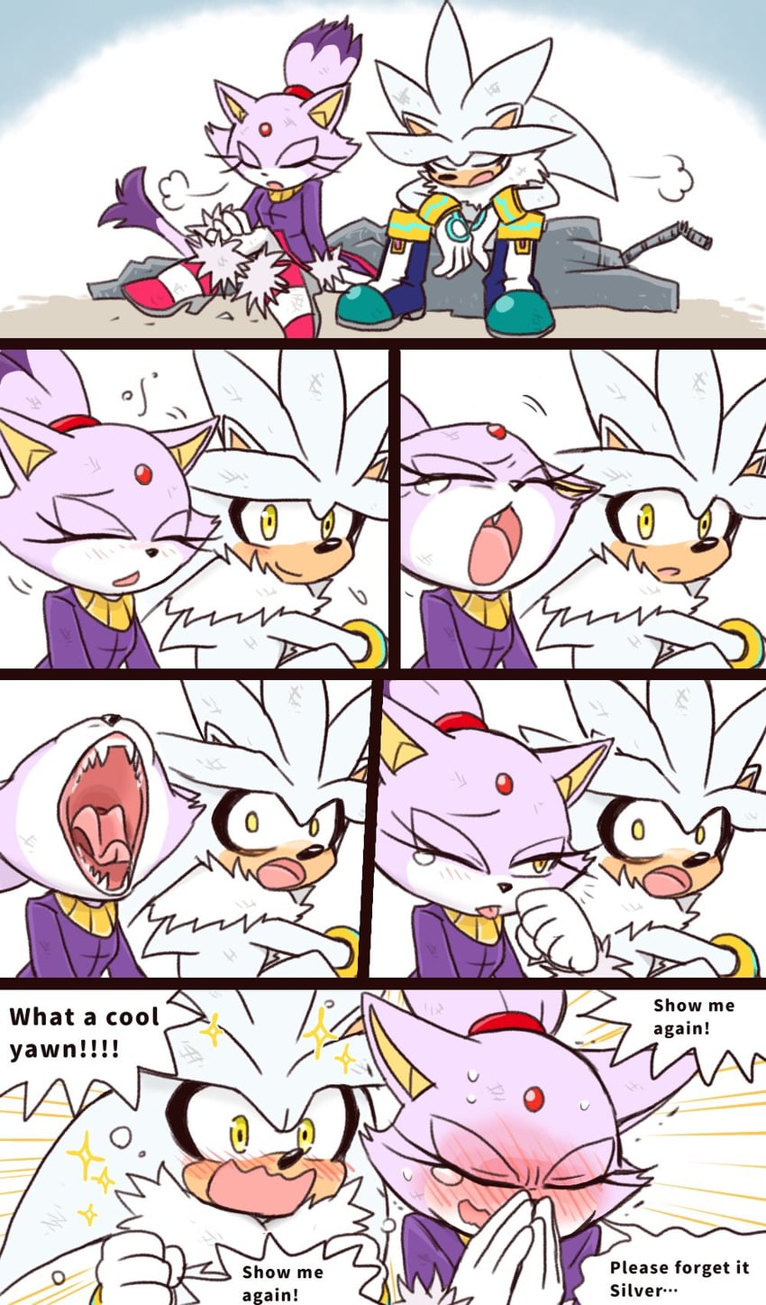 blaze the cat and silver the hedgehog (sonic) drawn by yotsumeddd
