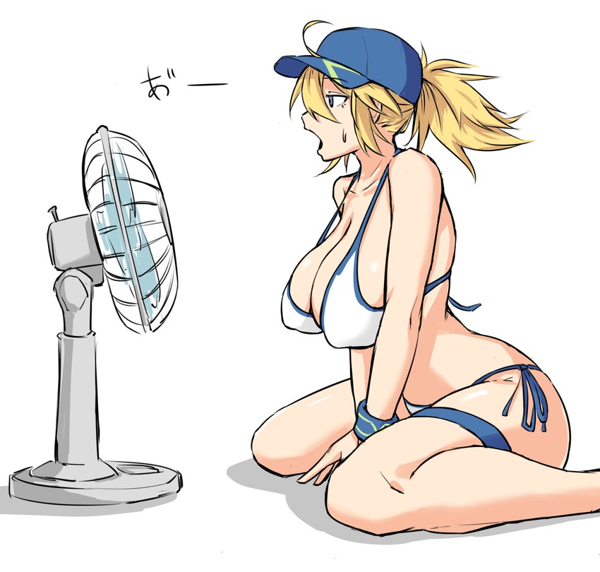 artoria pendragon and mysterious heroine xx (fate and 1 more) drawn by nia_(0122)