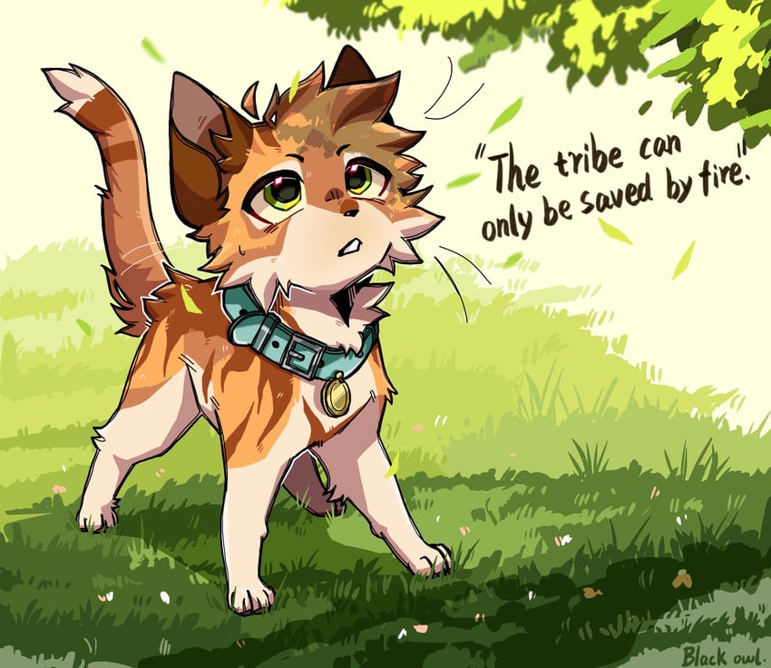firestar (warrior cats and 1 more) drawn by blackowlheixiao