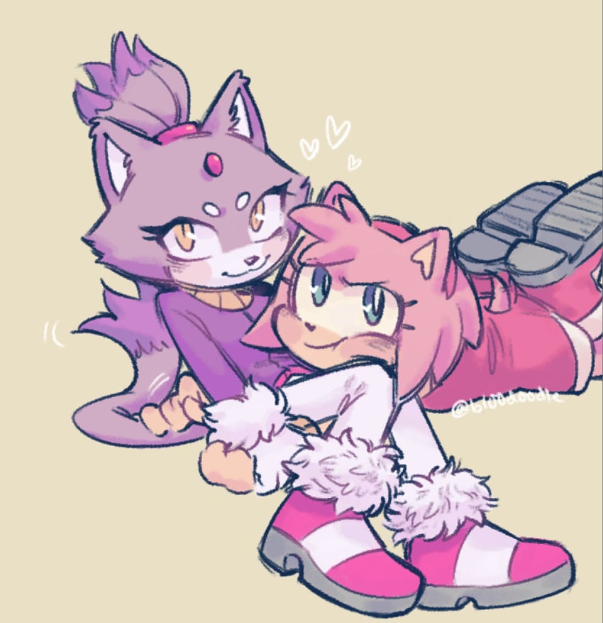 amy rose and blaze the cat (sonic) drawn by bl00doodle
