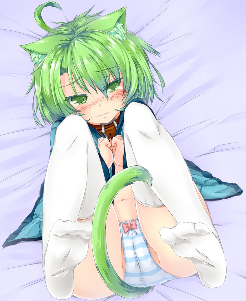sharon (original) drawn by dodome-iro_mayonnaise