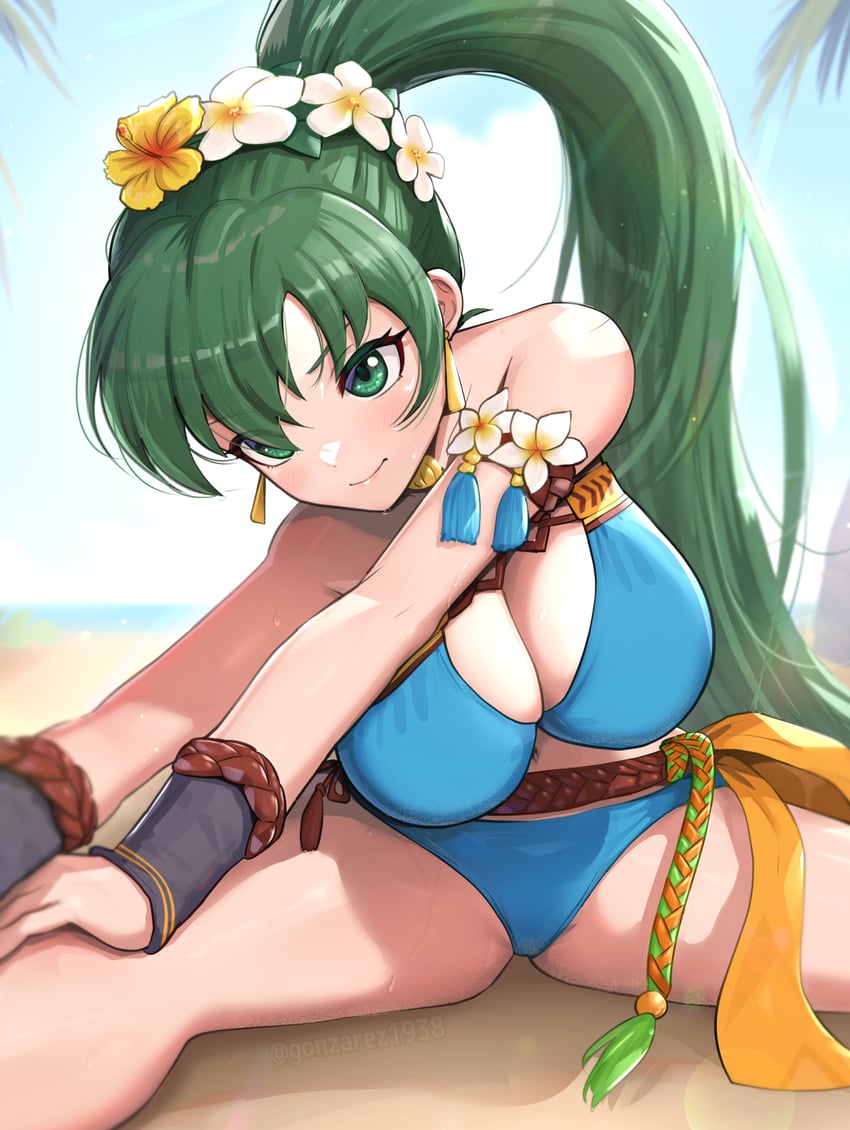 lyn (fire emblem and 2 more) drawn by gonzarez