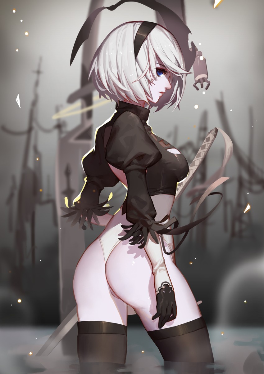 2b and pod (nier and 1 more) drawn by songjikyo