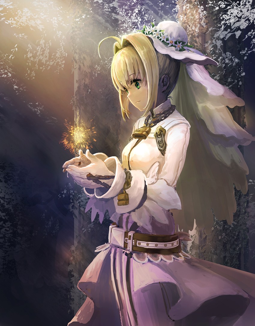 nero claudius (fate and 2 more) drawn by gachapinmuck2