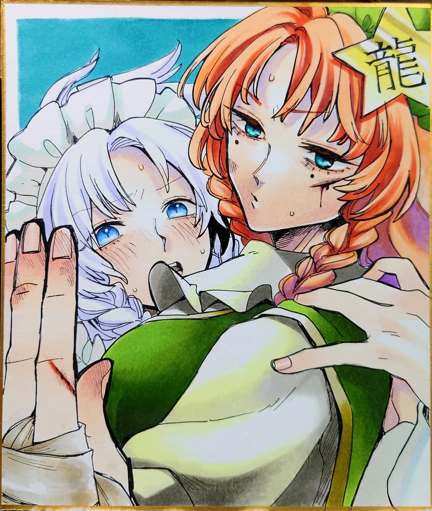 izayoi sakuya and hong meiling (touhou) drawn by whoru