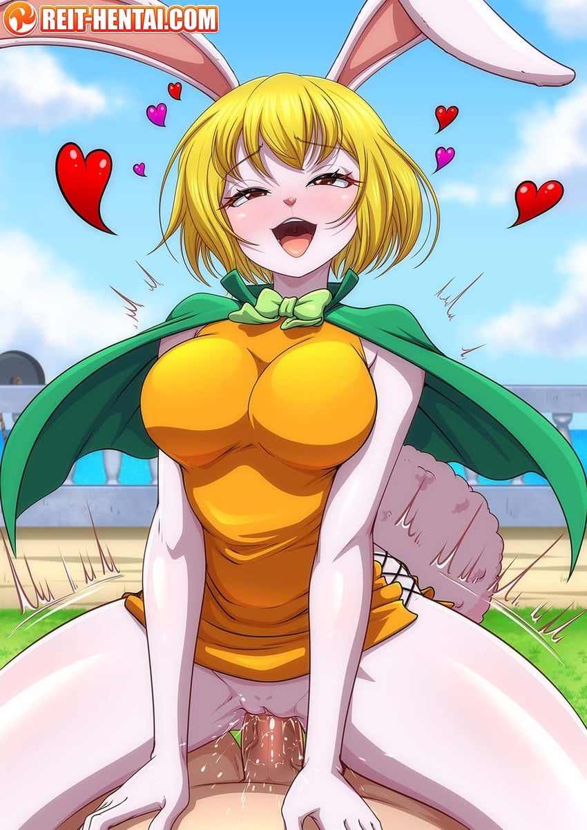 carrot (one piece) drawn by reit