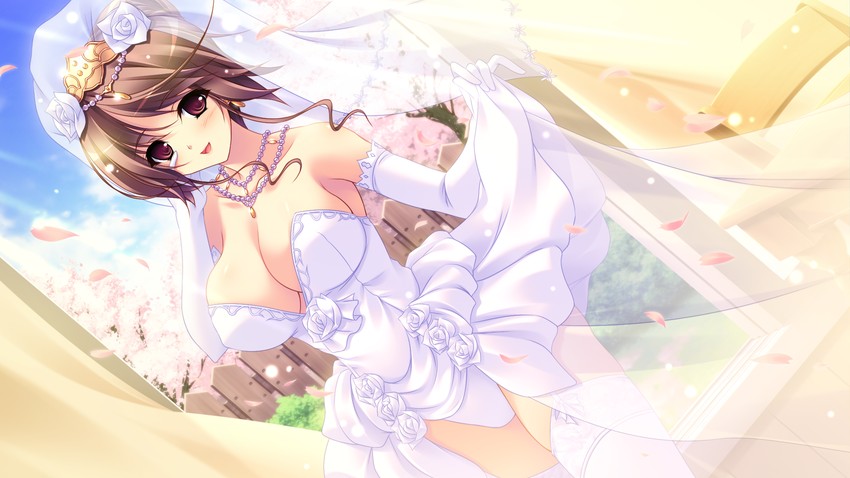 hinamidori chouko (pochi to goshujin-sama) drawn by hamashima_shigeo