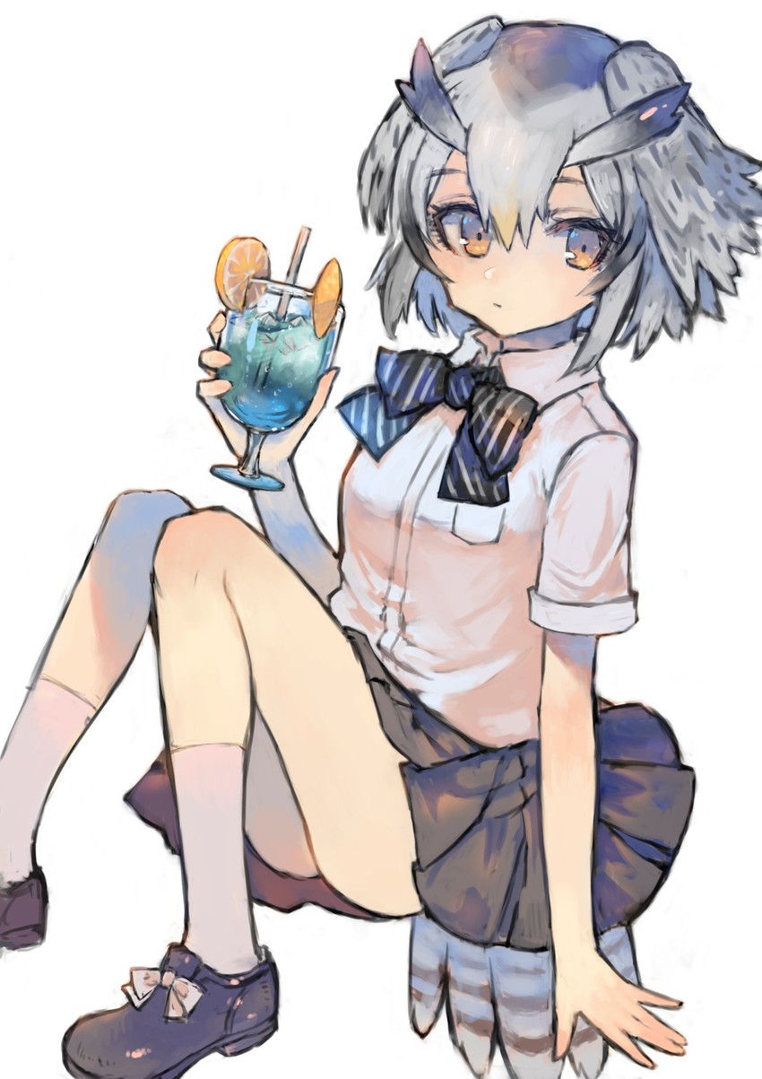 northern white-faced owl (kemono friends) drawn by desuka_(sasadango6)