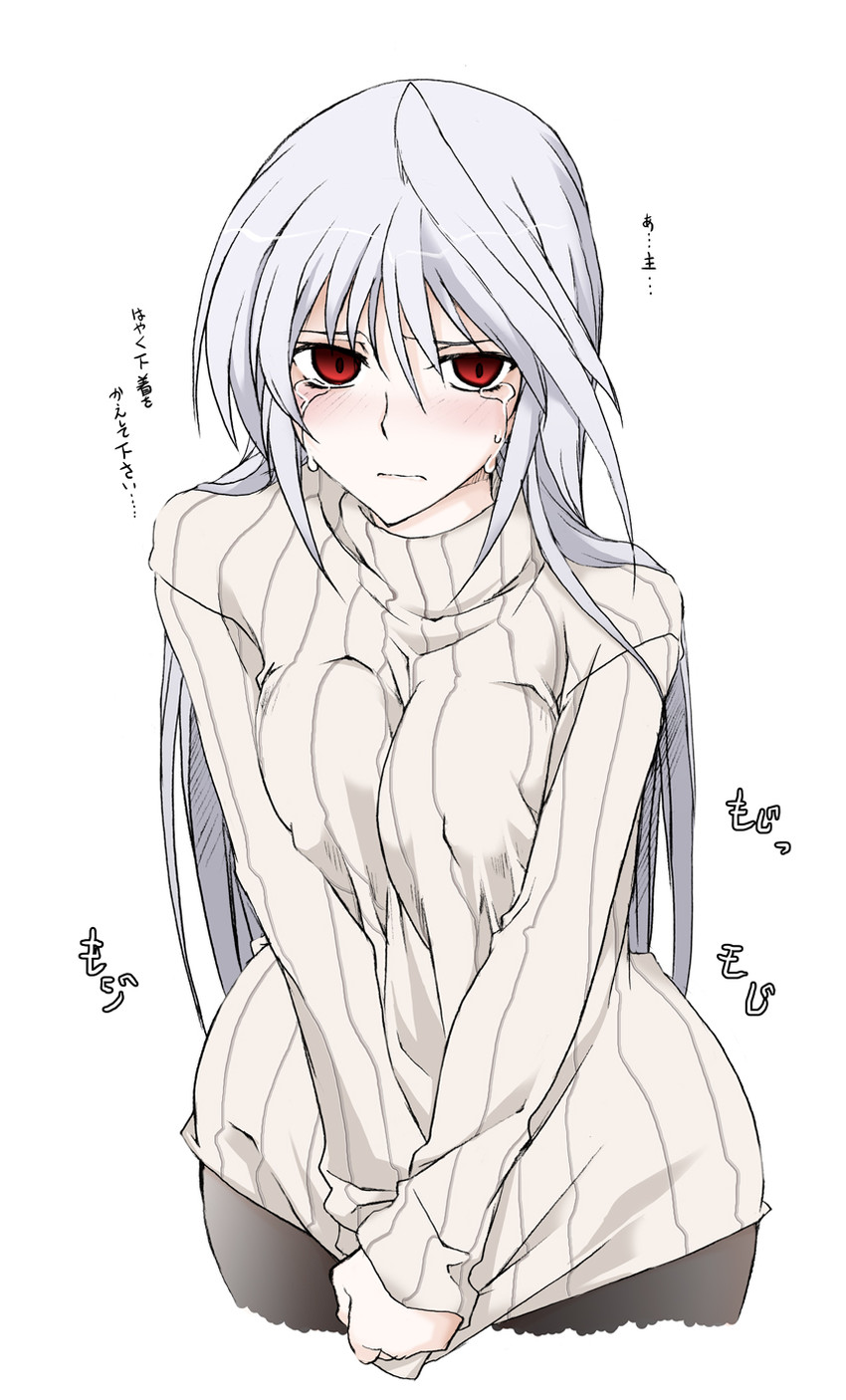 reinforce (lyrical nanoha and 2 more) drawn by elf_(stroll_in_the_woods)