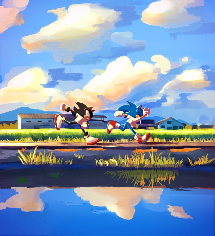 sonic the hedgehog and shadow the hedgehog (sonic) drawn by yangfaa_sonic