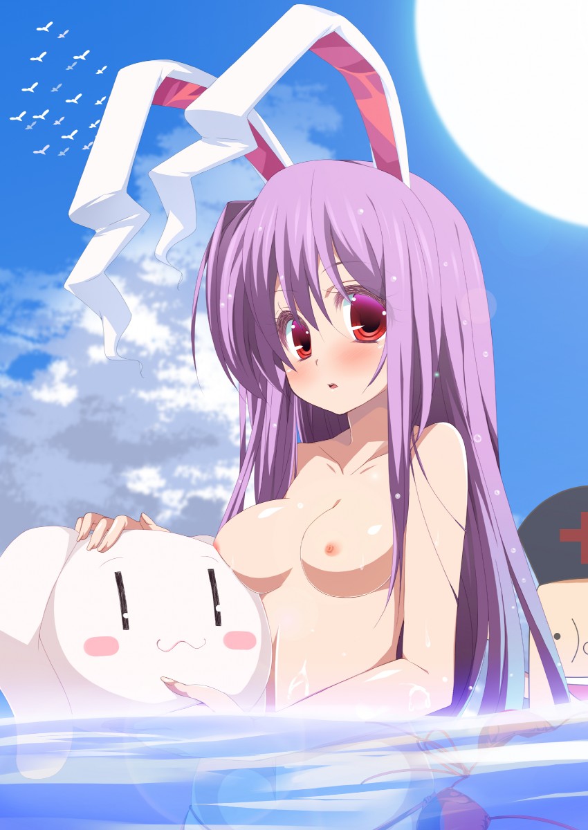 reisen udongein inaba and yagokoro (touhou) drawn by nigo_(aozoragarou)